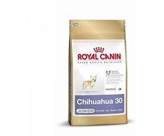 ROYAL CANIN Chihuahua junior 500g, čihuahua veislės jaunų šunų sausas pašaras