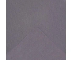 Ubbink Tvenkinio danga AquaFlexiLiner EPDM, 3,37x5 m, 1336124