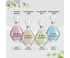 Abercrombie - Fitch First Instinct Woman kvepalų purškalas 100ml