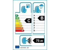 Continental 305/35R21 WINTERCONTACT TS 860 S 109V XL FR N0