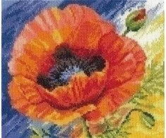 Alisa Beldizart (D) Vasaros bučinys S2-04