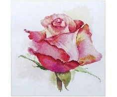 Alisa Beldizart Rožės kvėpavimas. Žavesys S2-39