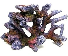 AMTRA REEF ROCK BRANCH rifo akmuo SM2