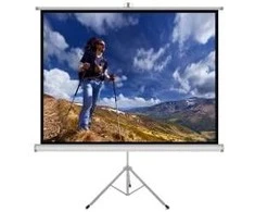 ART ER T120 4:3 ART rankinis Ekranas su stovu 4:3 120 244x183cm TS-120 4:3