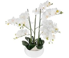 Atmosphera Dirbtinis augalas ORCHIDEE, baltas gėlių vazonas, 65 cm