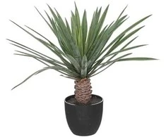Atmosphera Dirbtinis delnas kaip gyvenantis juodoje sodinėje, aukštis 52 cm