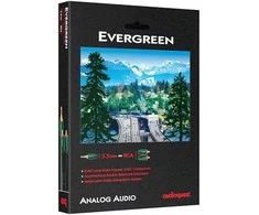 Jack Audioquest Evergreen JR 1,0 m - garso kabelis su 3,5 mm jungtimi - 2 x RCA