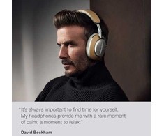Bowers &amp; Wilkins PX8 ausinės, Pilkšvos spalvos