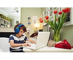 JBL Junior 460NC Belaidės triukšmą slopinančios ausinės vaikams, Rožinės