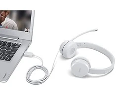 Lenovo | USB Ausinės | 110 Stereo | Yes | USB Type-A