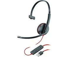 Ausinės Plantronics Blackwire C3210 USB-A, 209744-101