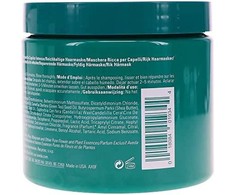 Aveda Botanical Repair Intensive Strengthening Mask - Rich, 450 ml