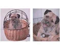 Basil Bazilikas naminių gyvūnėlių krepšelio dangtis PLUTO, diržo tvirtinimas, juodas (BAS-73007)