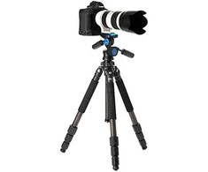 CLASSIC Benro vidaus klasikinis BICLT204