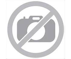 Centrinis BFT ALENA SW2 230V D113811 00004