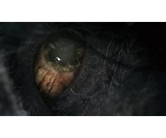Sony Fromsoftware Bloodborne: Game Of The Year Edition PS4