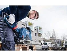 Bosch 3165140510042