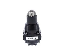 Telemecanique Sensors „Schneider Electric Drive“ galvutės stūmiklis su plieniniu voleliu (ZCKD02)
