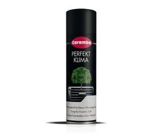Oro kondicionieriaus valiklis CARAMBA 100ml