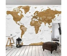 Artgeist Fototapetas - World Map: Baltas Oceans