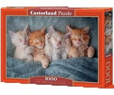 Castorland dėlionė The Sweetest Kittens 1000 det.