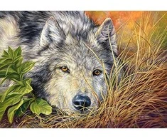 Castorland Dėlionė Pure Soul 500 Det