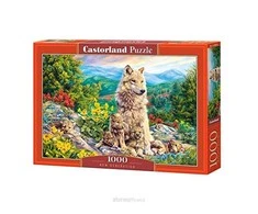 Castorland Dėlionė 1000 vnt. - Naujoji karta