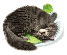 Hagen Cat Catit sveikatingumo centro masažo salonas