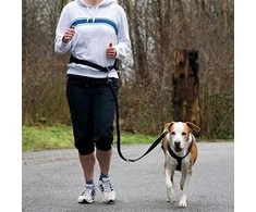 TRIXIE Juosmens diržas su pavadėliu, paminkštintas neoprenu, diržas 70-130 cm-9 cm