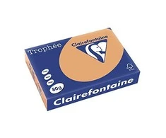 Trophee A4 kopijavimo popierius 80g 500 lapų