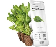 Click &amp; Grow sėklos išmaniajam vazonui - Valgomoji rūgštynė (SGR55x3) 3vnt.
