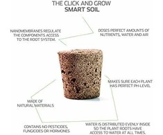 Click &amp; Grow sėklos išmaniajam vazonui - Valgomoji rūgštynė (SGR55x3) 3vnt.