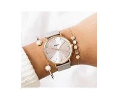 Laikrodis Watches CLUSE Watches CW0101201006