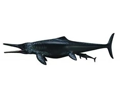 Collecta Figūrėlė Temnodontosaurus dinozauras (XL)
