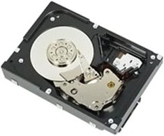 „Dell“ 2 TB 3,5 colio SAS-1 (3 Gb/s) serverio diskas (R755K)