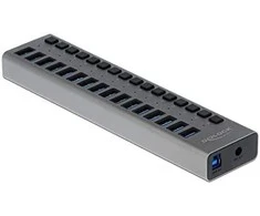 Delock External SuperSpeed USB Hub su 16 prievadų + jungikliu
