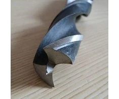 Bosch Grąžtas medžiui 24,0x210,0mm, 1 vnt.