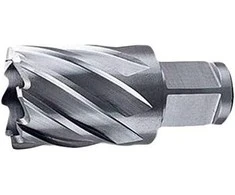 Dewalt 12 klasė Alligatoriaus 430mm, TCT (DT2974) porothem ašmenys