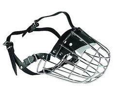 Dino Metalinis snukis - 6 aviganiai