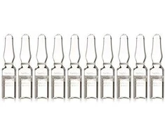Dr. Hauschka Atnaujinantis naktinis kondicionierius 10 x 1 ml