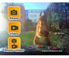 Skaitmeninis fotoaparatas EasyPix BirdyCam 1080P Solarpanel