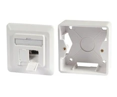 Efb Elektronik EFB EFB duomenų lizdas Cat6a 500MHz BALTA viršuje apačioje paviršinio montavimo 2xRJ45 RAL9010 EA klasė 10Gbit 40 laipsnių lizdas su 6,3 mm įžeminimo antgaliu