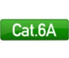 Efb Elektronik EFB RJ45 flat Komutacinis kabelis U/UTP, Cat.6A, PVC, 0,25m, juodas (K8107SW.0,25)