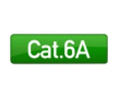 Efb Elektronik EFB RJ45 flat Komutacinis kabelis U/UTP, Cat.6A, PVC, 0,25m, juodas (K8107SW.0,25)