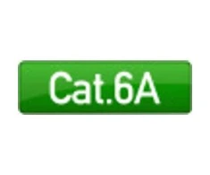 Efb Elektronik EFB RJ45 flat Komutacinis kabelis U/UTP, Cat.6A, PVC, 0,25m, juodas (K8107SW.0,25)