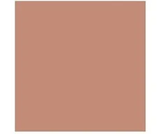 Embryolisse Artist Secret Compact Powder Bronzing Effect bronzinį efektą suteikianti pudra, 12 g