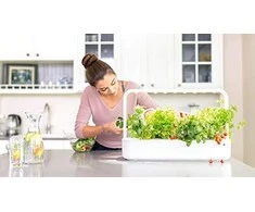 Click And Grow Click &amp; Grow Smart Garden pildymas Laiškiniai česnakai 3 vnt