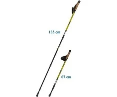 nordic walking lazdos su dėklu enero newicon