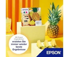 Epson Multipack 4 spalvų 604 XL T 10H6