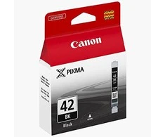 Epson T850900 | Ink Cartridge | Light Juodas